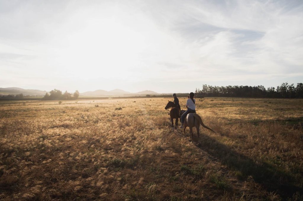 Gifting an experience like a horse ride is one of the best gift ideas for minimalists. 