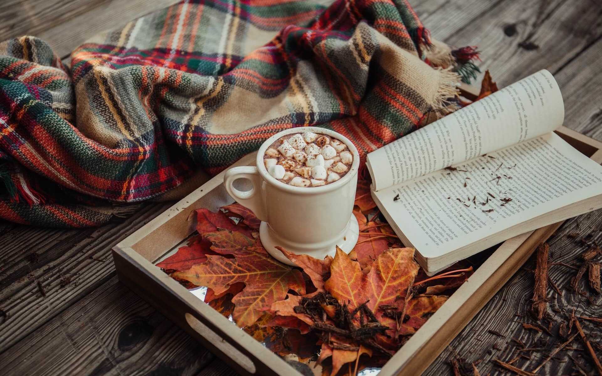 Sustainable fall essentials for a cozy, yet eco-friendly autumn.