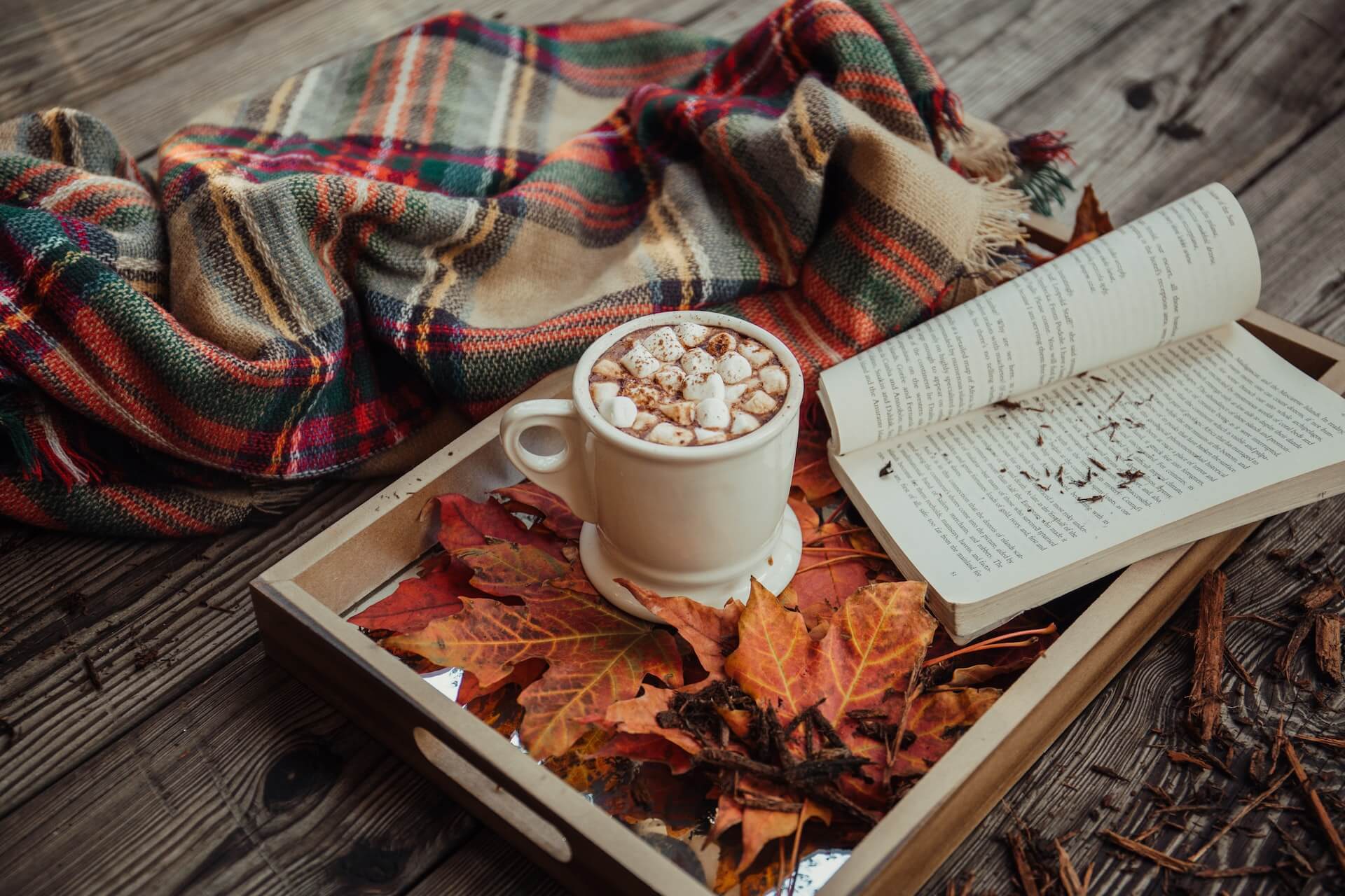 11 Sustainable Fall Essentials For A Cozy Autumn - Green With Less