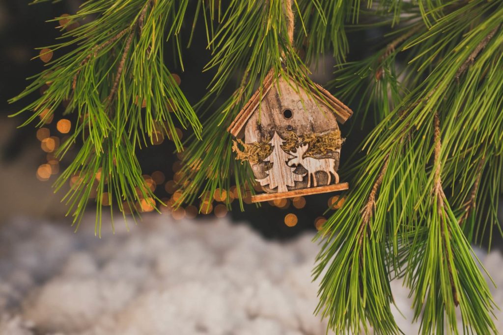 To have a sustainable Christmas, choosing sustainable decorations for your home is essential. 